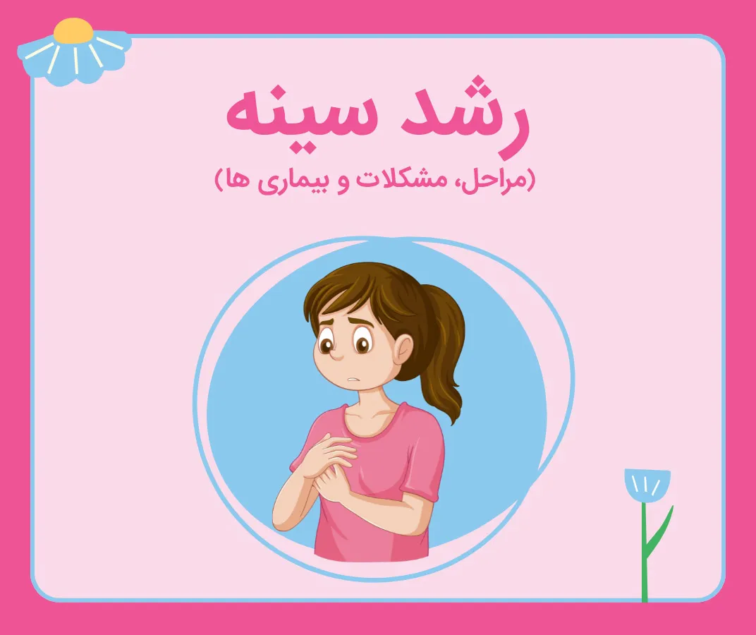 رشد سینه