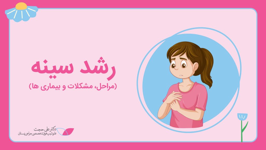 رشد پستان رشد پستان
